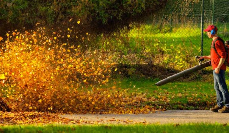 Bakaji Aspirafoglie Elettrico da Giardino 3 in 1 Aspiratore