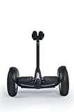 Xiaomi Ninebot S QBE4013RT, Gyropode velocità massima 16 km/h con una autonomia fino a 22 km, Nero