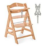 Hauck Seggiolone Pappa in Legno Alpha+ (Legno certificato FSC®) - Resistente al Ribaltamento -...
