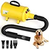 Amoever Soffiatore per Cani, Asciugacapelli per Toelettatura Animali, Asciugacapelli Professionale...