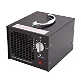 ECO-WORTHY 3.5 G 220 V Generatore di Ozono Purificatore D' Aria Ozono Ator Industriale