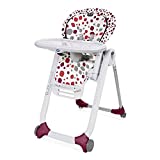 Chicco Polly Progres5 Seggiolone Pappa Regolabile per Bambini 0 Mesi - 3 Anni (15 kg), Trasformabile...