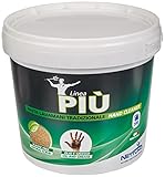 PASTA LAVAMANI NETTUNO LINEA PIU'