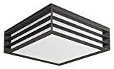 Philips Lighting Moonshine Lampada da Soffitto da Esterno, Grigio Scuro