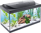 Tetra Starter Line Acquario LED 54 L - Set Completo con Illuminazione a LED, Acquario Stabile per...