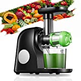 Estrattore di Succo a Freddo, 2 Filtri per Succhi, Professionale Estrattore di Frutta e Verdura con...